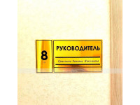 Тактильная табличка (комплексная) со сменой информации. 150 x 300мм.
